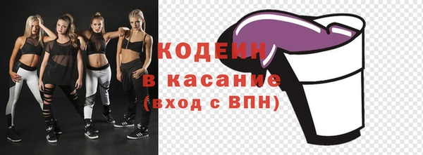 соль ск Инсар
