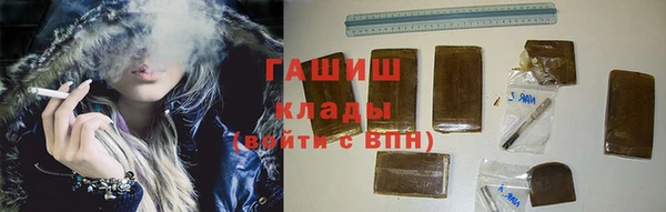 соль ск Инсар