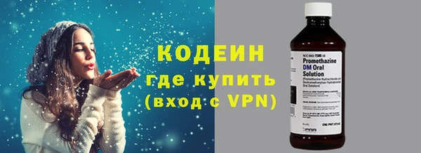 гашик Инта