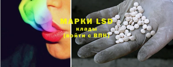 гашик Инта