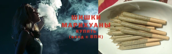гашик Инта