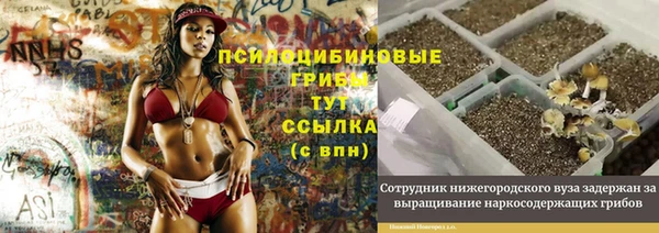 соль ск Инсар