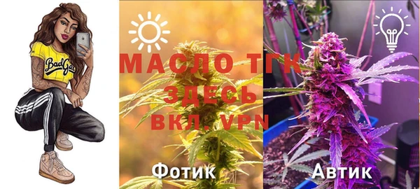 гашик Инта
