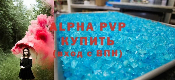 соль ск Инсар