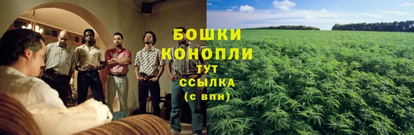 гашик Инта