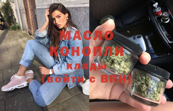 соль ск Инсар