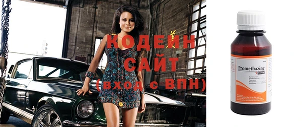 соль ск Инсар