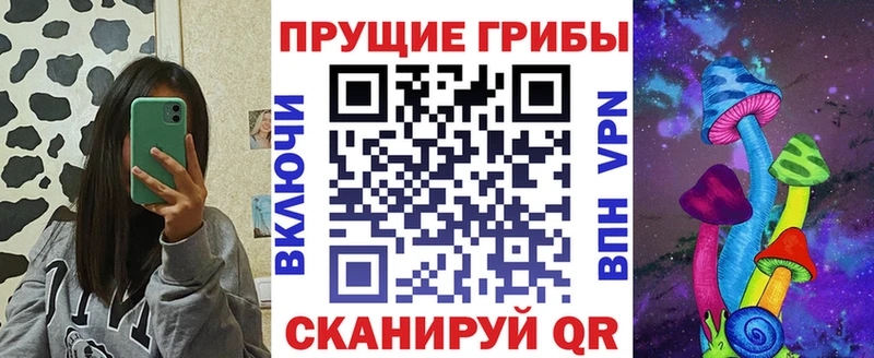 хочу   Долгопрудный  Псилоцибиновые грибы Cubensis 